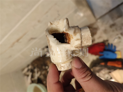 赵西垸林场自来水管道漏水检测