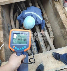 赵西垸林场管线探测