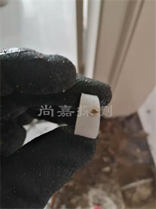 赵西垸林场暖气管道漏水检测