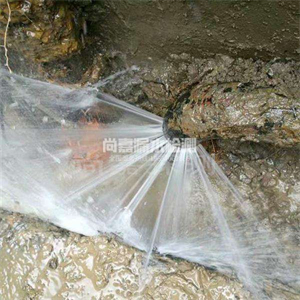 赵西垸林场消防管道漏水检测